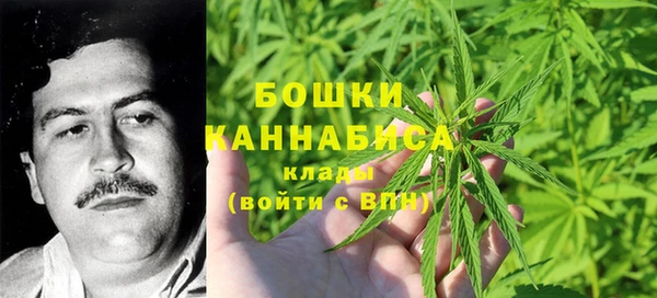 COCAINE Каменка
